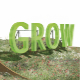 001_grow